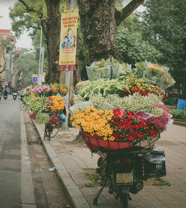 Hãy cùng ngắm nhìn một cảnh tượng đầy sắc màu với xe đạp chở hoa trên đường phố. Những bông hoa xinh đẹp được sắp xếp và gói gọn trên xe, đem lại cho người xem những khoảnh khắc tuyệt vời của sự tươi mới và sống động.