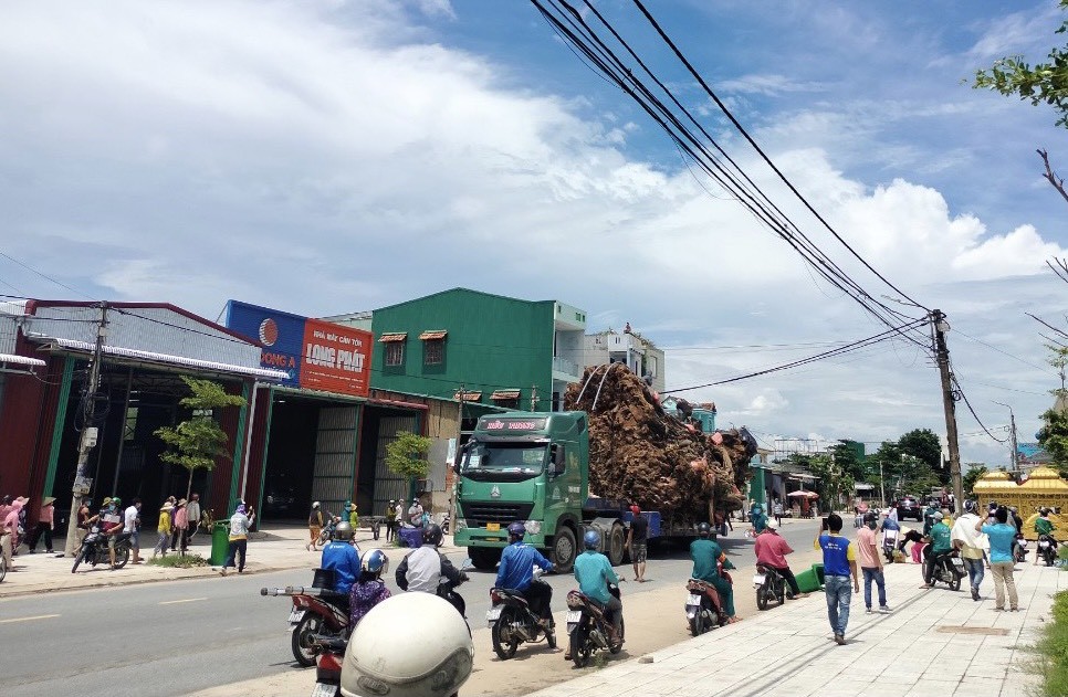di-chuyen-1632575464.jpg