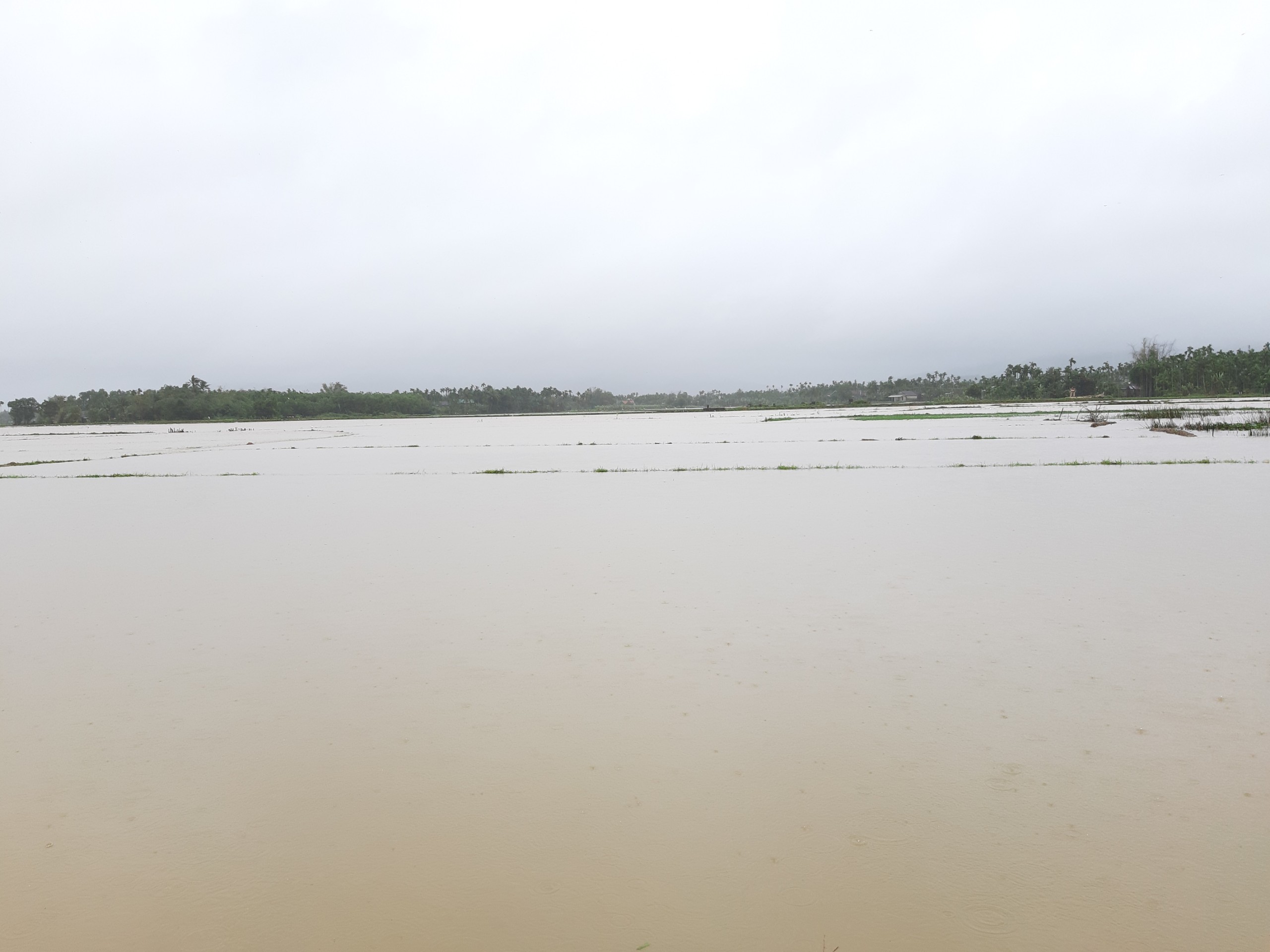 ngap-lut-nghia-hanh-1640698604.jpg