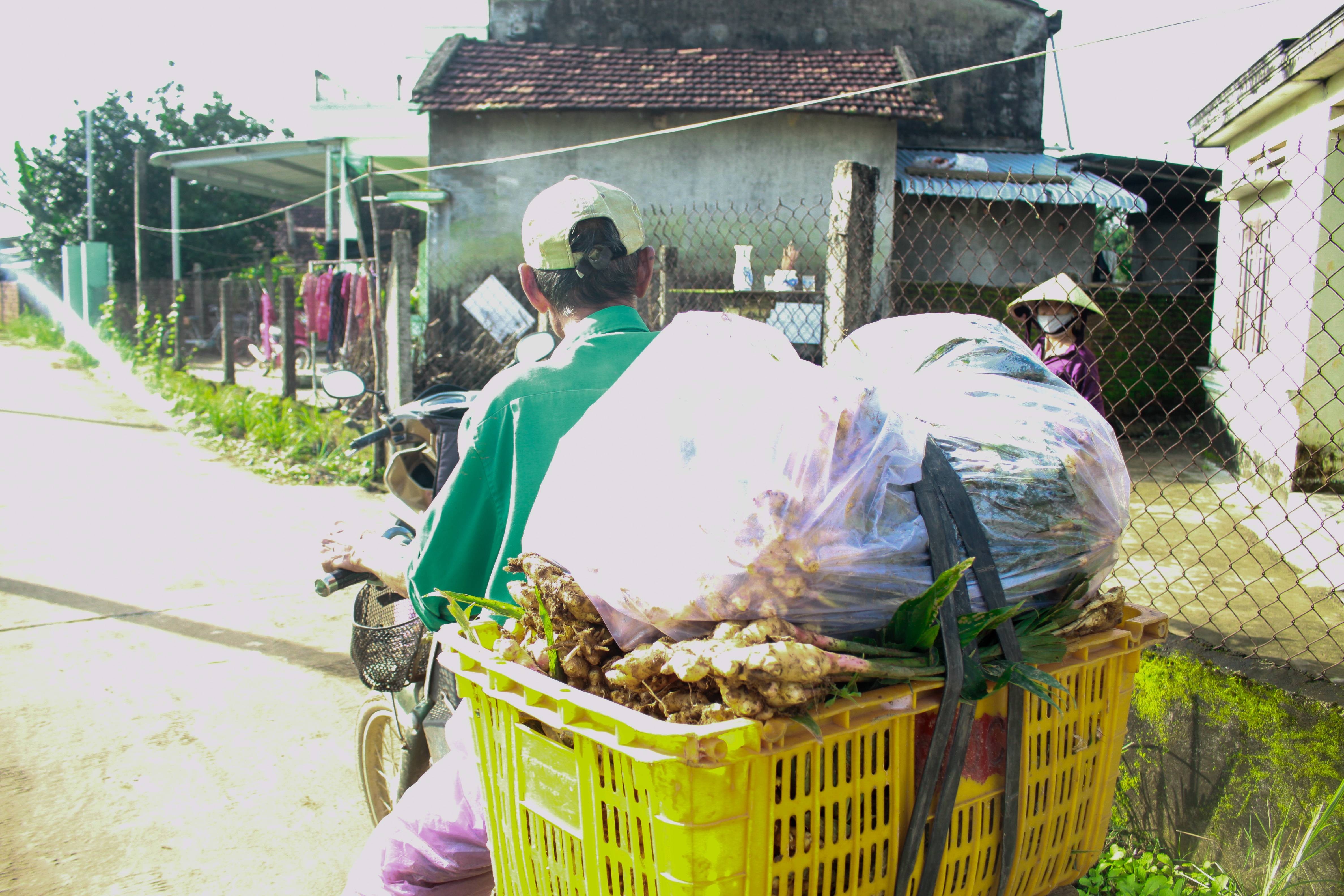 gung-nghe-8-1-of-1-1641620298.jpg