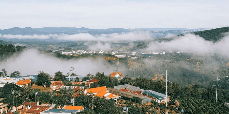 da-lat-1646323665.png
