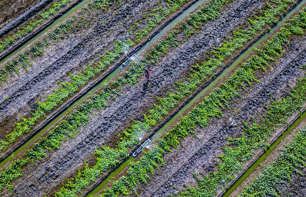 a-2523466-1654739805.gif