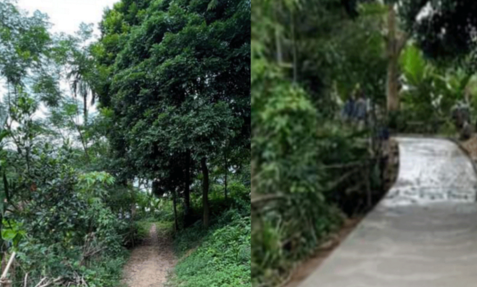 vn2523636-1659338086.gif