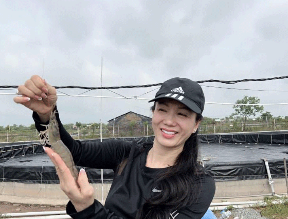 d-hoa-25235-1661015573.gif