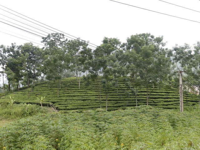 vxb6ab-1660752349-1661668770.jpg