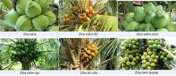 z3661807637953-cded5a186fda60b9ffb2c90d68350a87-1661156195-1662449663.jpg