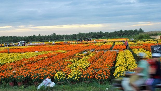 bentre-1665388603.jpg