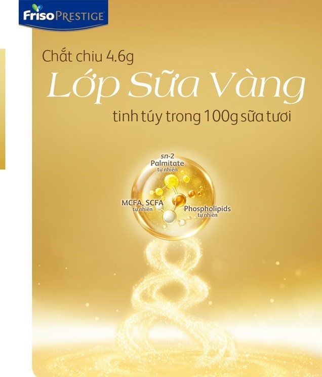 primmy-truong-salim-cung-loat-hotmom-hoi-ngo-nhan-hang-friso-ra-mat-san-pham-tgnguoinoitieng-33-1665637242.jpg