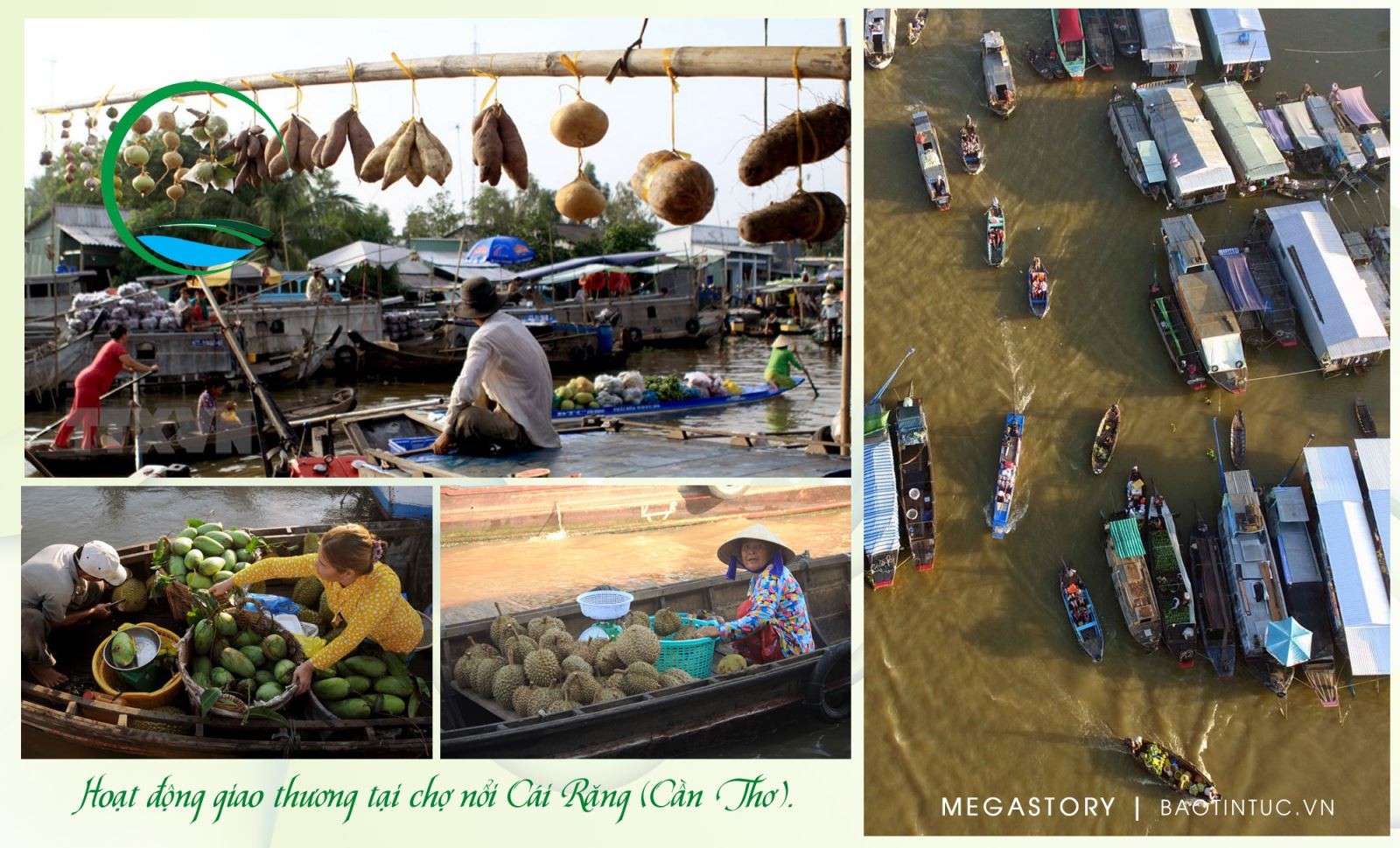 cho-noi2-1678172543043-16781725432691767721468-1678245906.jpg