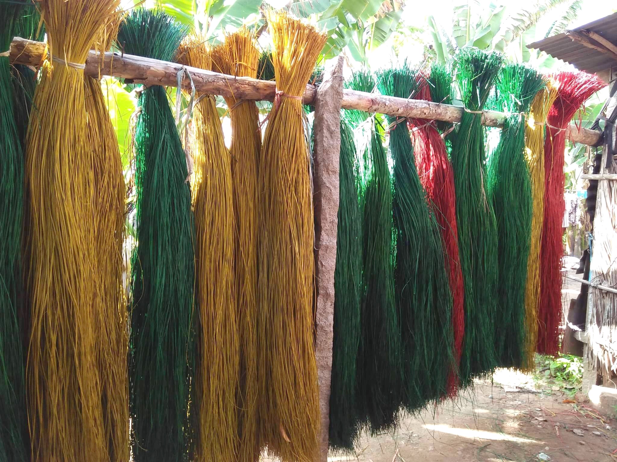 soi-lat-nhuom-xong-mang-ra-phoi-nang-1754372374.jpg