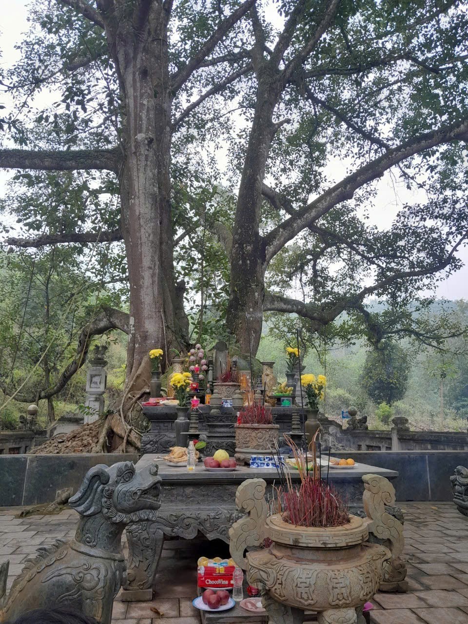 di-tich-dan-tho-nguyet-nga-cong-chua-thon-bong-son-xa-tong-son-tinh-thanh-hoa-trong-giai-doan-dang-cai-tao-nang-cap-giai-doan-1-1760232651-1760972368.jpg