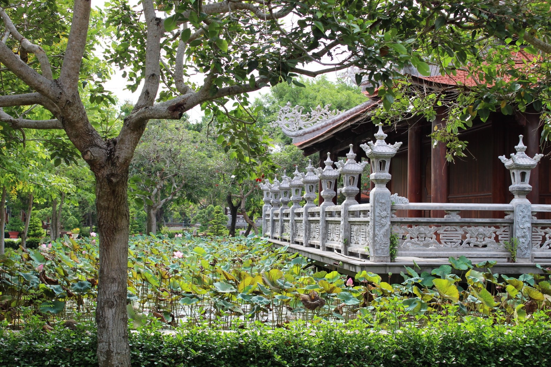 khudulichvanhoaphuongnamdongthap03-1792980408.jpg