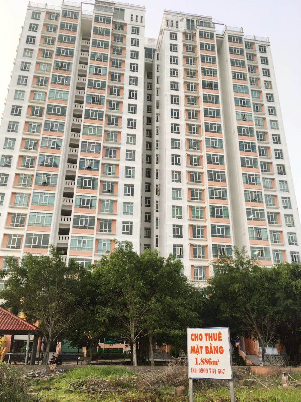 anh-02-4-1638717256-1645848977.jpg