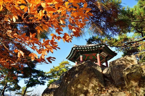 baekje1-1657100968698692876030-1657199027.jpg