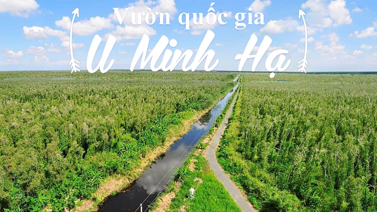 a1-1659429844-1659491133.png