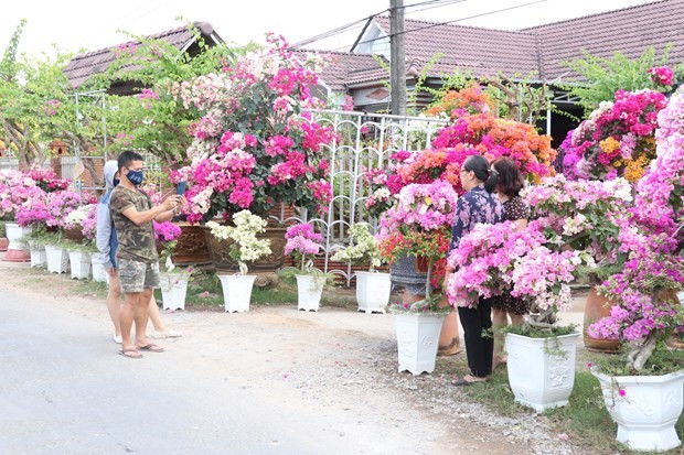 vna-potal-vuong-quoc-1665388562.jpg