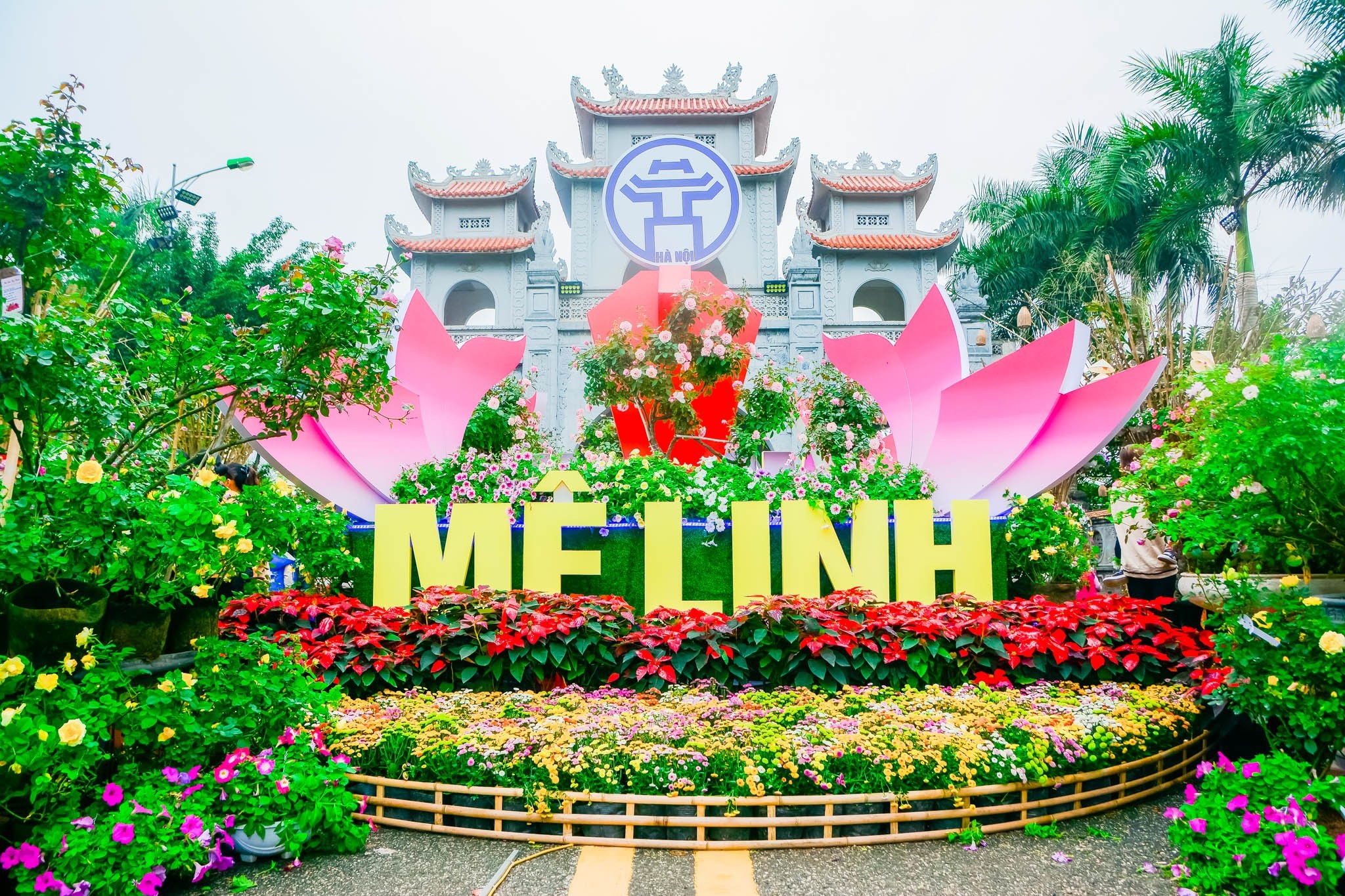 mo-hinh-hoa-me-linh-tu-trc-tuy-c-co-cho-vao-hay-ko-1698715621-1698976842.jpg