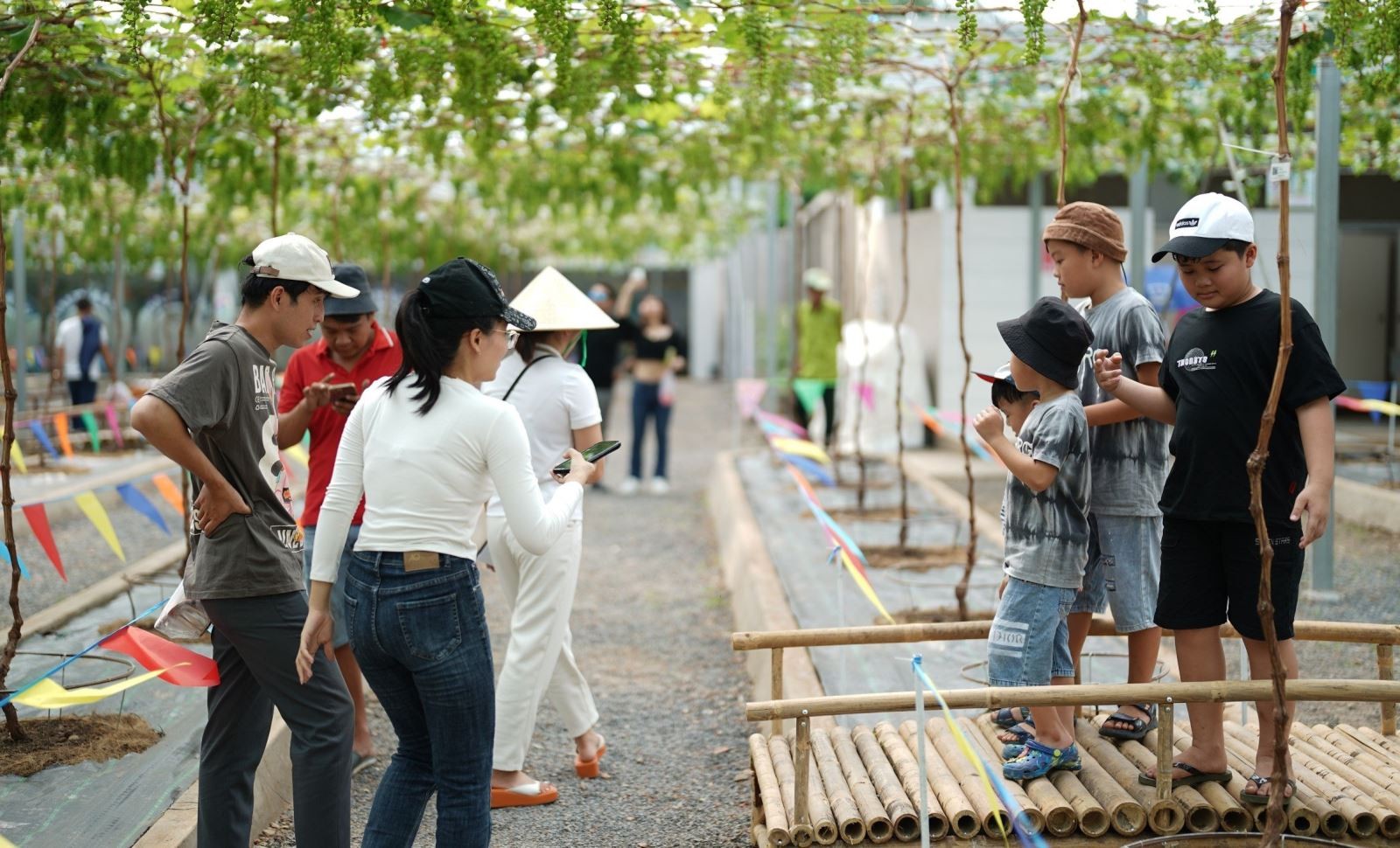 a17041638675521855053875-1704242326.jpg