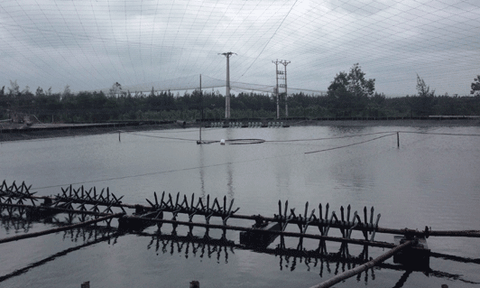 Xuân Phổ: Nỗ lực trong xây dựng nông thôn mới