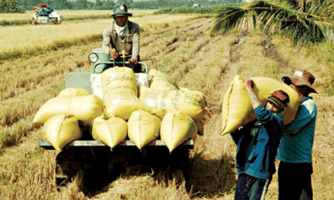 Nông dân thời nông thôn mới