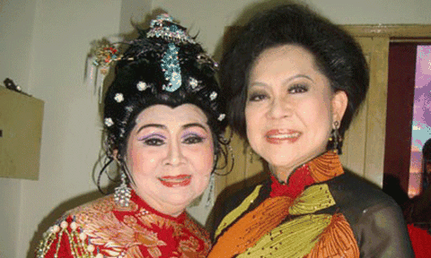 Nghệ sĩ hải ngoại nô nức về quê diễn Tết