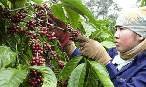 Về thăm Tây Hiếu hôm nay