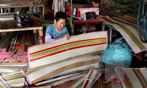 Long An bảo tồn nghề dệt chiếu lác - di sản phi vật thể quốc gia