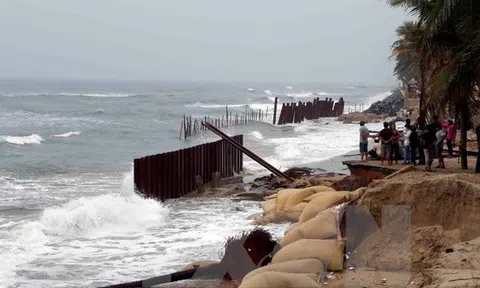 Trà Vinh khẩn trương khắc phục tình trạng sạt lở các đoạn đê biển