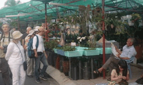 Vĩnh Long thu hút 25.000 lượt khách du lịch dịp Xuân Ất Mùi 2015