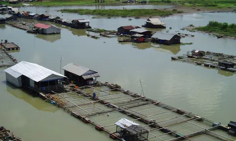Mưu sinh trên lòng hồ Trị An: Kẻ cười người khóc