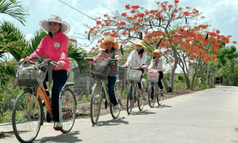 Ước vọng đầu năm 