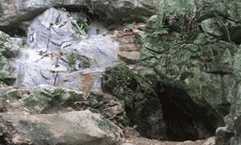 Di tích lịch sử Pác Bó