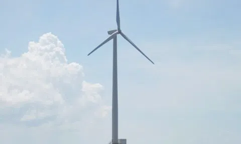 ĐBSCL: Nhiều địa phương chú trọng đầu tư điện gió