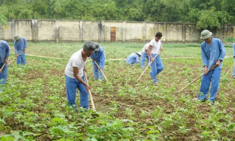  TP Thanh Hóa: Hiệu quả từ cai nghiện điều trị bằng thuốc Methadone 