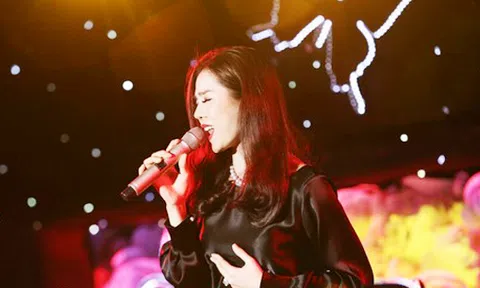  Lệ Quyên, Đàm Vĩnh Hưng quyên góp 310 triệu tặng người nghèo 