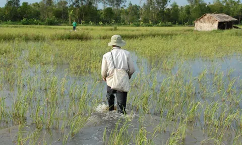Nhớ tiếng ếch kêu!