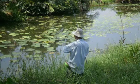 Một ngày làm... "ông câu"