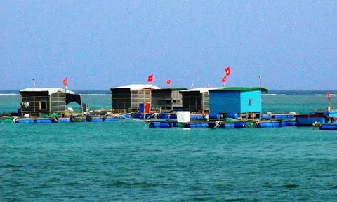 Huyện đảo Lý Sơn đang "thay da đổi thịt" về nhiều mặt