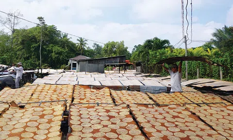 Làng bánh phồng Phú Mỹ tất bật đón Tết