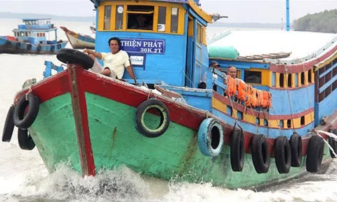 Sởn gai ốc theo chân những cao thủ săn cá mập