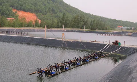 Nghệ An: UBND xã cho thuê đất trái thẩm quyền