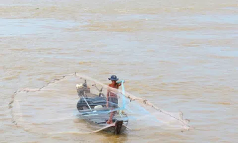 Săn “cá khủng” trên sông Vàm Cỏ Tây