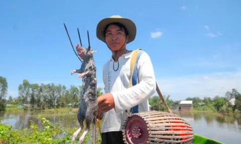 Đặc sản khiến bạn phải "khóc thét" khi tới miền Tây