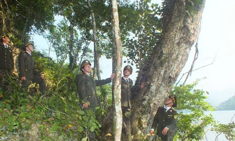 Ghi nhận tại Hạt Kiểm lâm huyện Lâm Bình