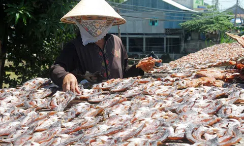 Đặc sản khô cá tất bật vào mùa tết