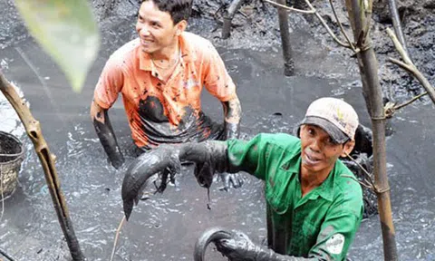 Tát đìa - nét văn hóa miệt vườn