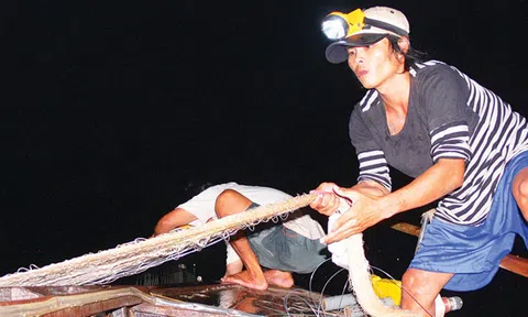 Đêm săn cá bông lau