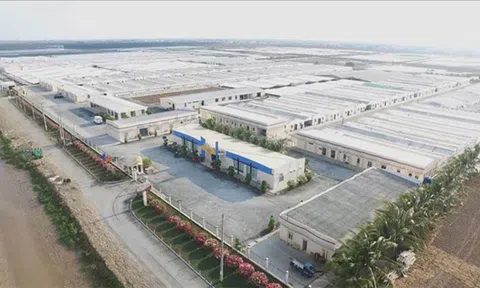 Bạc Liêu sẽ là trung tâm tôm công nghệ cao và điện gió