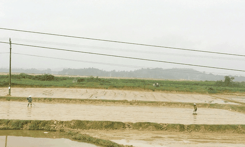 Thanh Lâm đạt nhiều kết quả khả quan trên các lĩnh vực