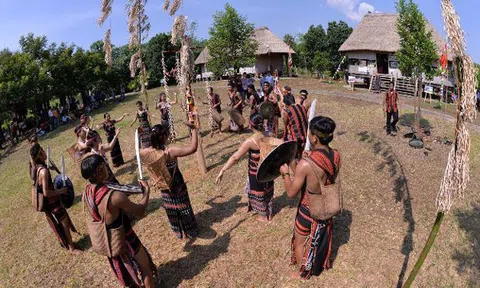 Cây mây trong đời sống của người Cơ Tu